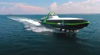 Повітряна куща для продажу
