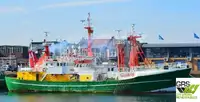 Швидкісний постачальник (FSV) для продажу