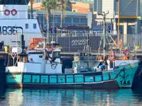 Purse seiner на продаж