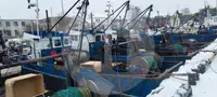 Живий носій риби на продаж