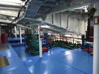 Судно Ro-Ro для продажу
