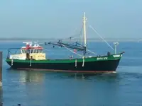 Тральник для продажу