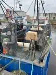 Живий носій риби на продаж