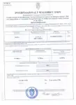 Судно Ro-Ro для продажу