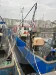 Живий носій риби на продаж