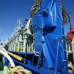 Тральник із ставними сітками для продажу