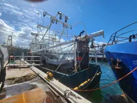 Тральник для продажу
