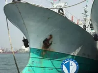 Судно для вилову риби довгими сітками для продажу