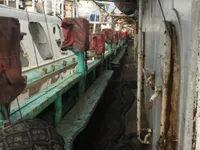 Судно для вилову кальмарів для продажу