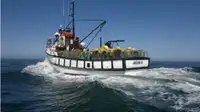 Тральник для продажу