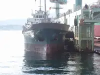 Балкер на продаж