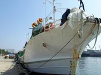 Судно для вилову кальмарів для продажу