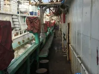 Судно для вилову кальмарів для продажу