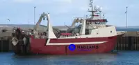 Великий морозильний тральник для продажу