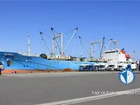 Рефрижераторний корабель на продаж