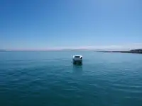 Катамаран на продаж