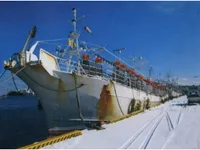 Судно для вилову кальмарів для продажу