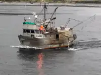 Longliner на продаж