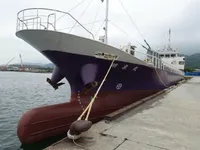 General Cargo/Multi-purpose для продажу