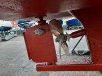 Катер для продажу