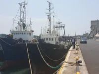 Тральник для продажу
