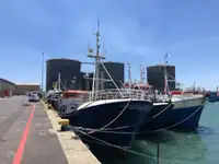 Longliner на продаж
