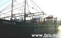 Тральник для продажу