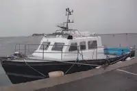 Робочі судна на продаж