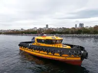 Робочі судна на продаж