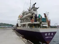 General Cargo/Multi-purpose для продажу