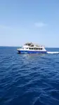 Катамаран на продаж