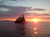 Тральник для продажу