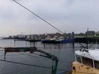 Тральник для продажу