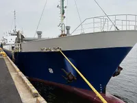 General Cargo/Multi-purpose для продажу