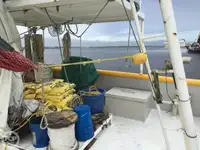 Тральник для продажу