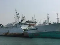 Судно для вилову риби довгими сітками для продажу