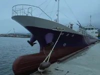 General Cargo/Multi-purpose для продажу