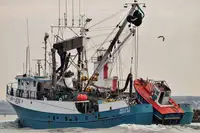 Тральник із ставними сітками для продажу