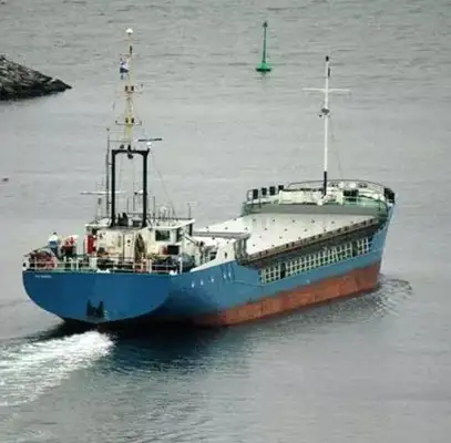 Bulk carrier for sale
