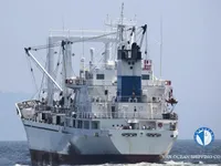 Рефрижераторне судно для продажу