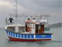 Тральник для продажу