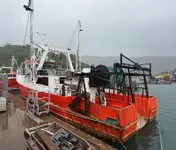 Тральник для продажу