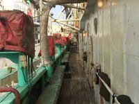 Судно для вилову кальмарів для продажу