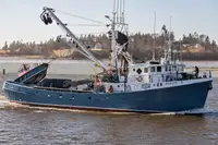 Тральник із ставними сітками для продажу