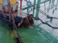 Баржа для продажу
