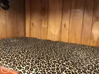 Тральник для продажу