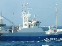 Тральник для продажу