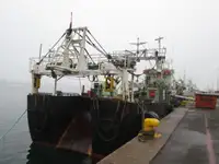 Тральник для продажу