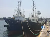 Тральник для продажу