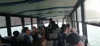 Амфібія на продаж